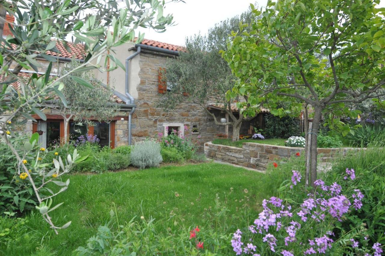 Istrian Stone House Villa Secovlje Luaran gambar