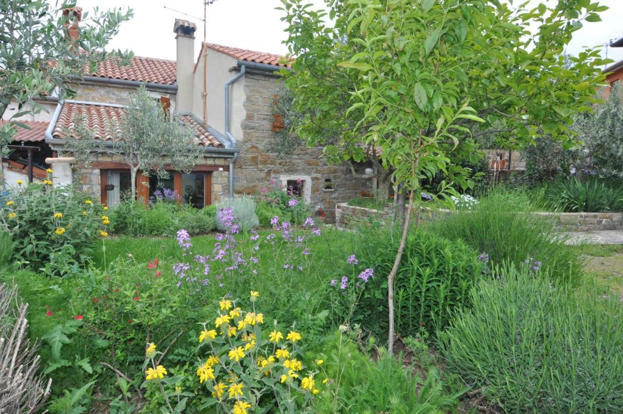 Istrian Stone House Villa Secovlje Luaran gambar