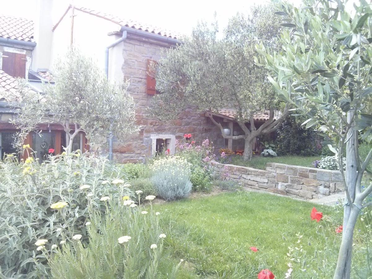 Istrian Stone House Villa Secovlje Luaran gambar
