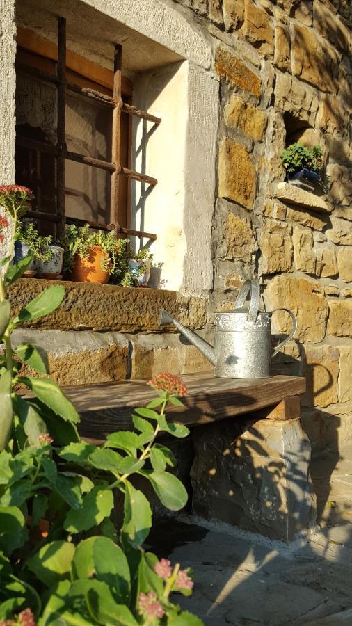 Istrian Stone House Villa Secovlje Luaran gambar