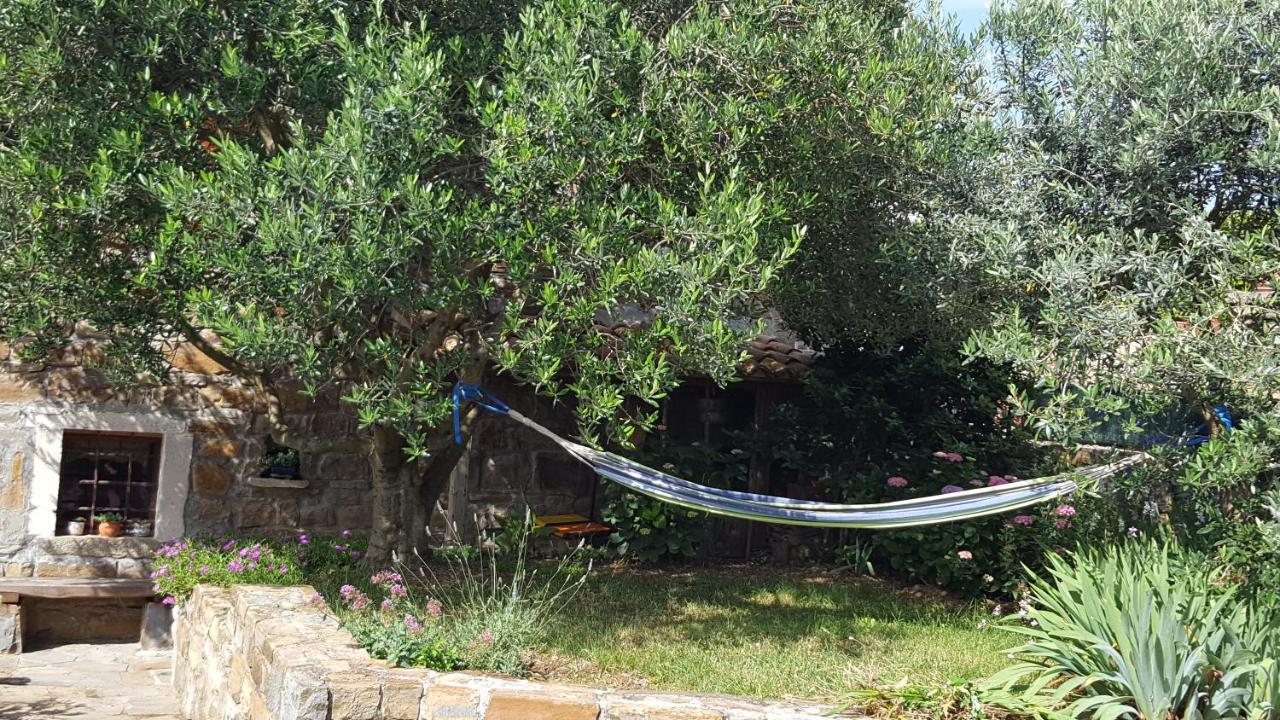 Istrian Stone House Villa Secovlje Luaran gambar