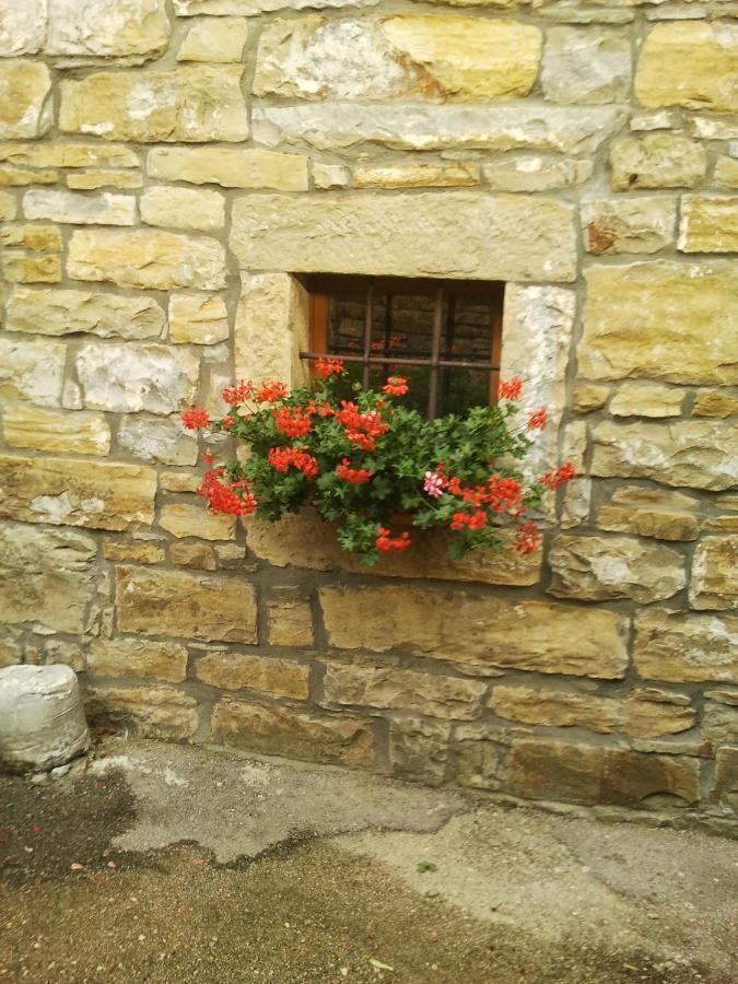 Istrian Stone House Villa Secovlje Luaran gambar