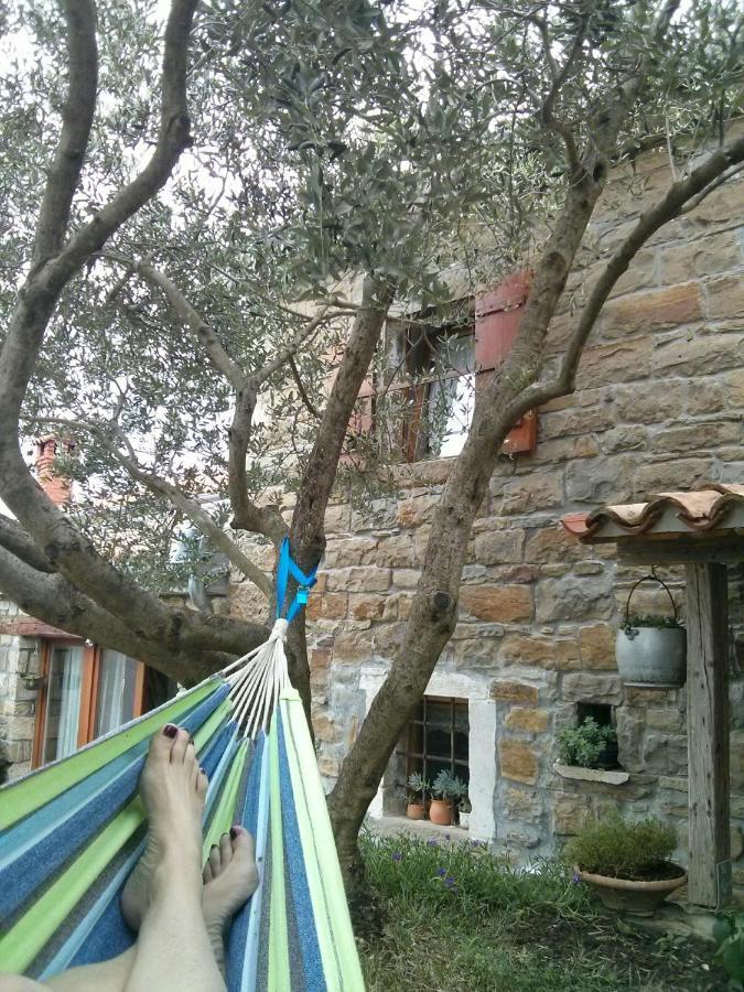 Istrian Stone House Villa Secovlje Luaran gambar