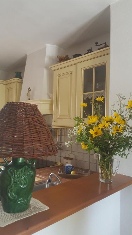 Istrian Stone House Villa Secovlje Luaran gambar